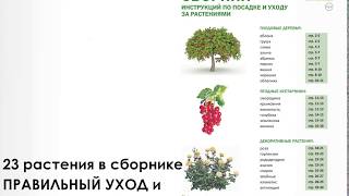 Сборник по уходу за растениями (23 растения)