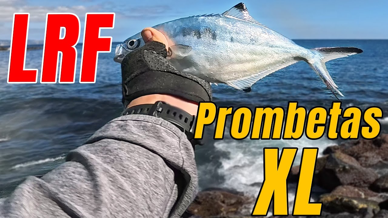 A Maior Captura de LRF no Ano?! Prombetas XL Gigantes! 🐟