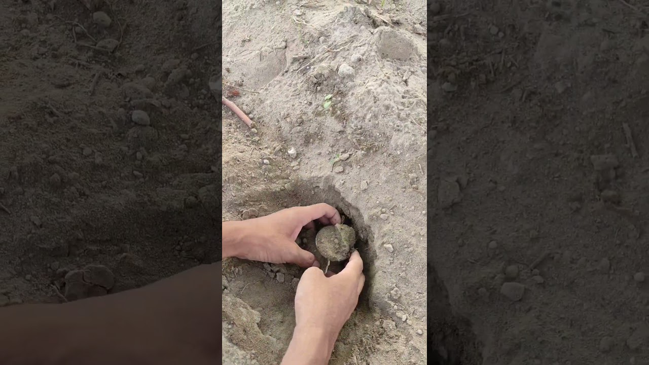 Crystal balls in Golden Glass 