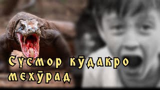 #Сусмор_кудакро_мехурад |Убайдуллои Каромат соли 1989