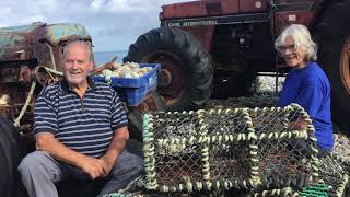 Why Become A Fisherman?