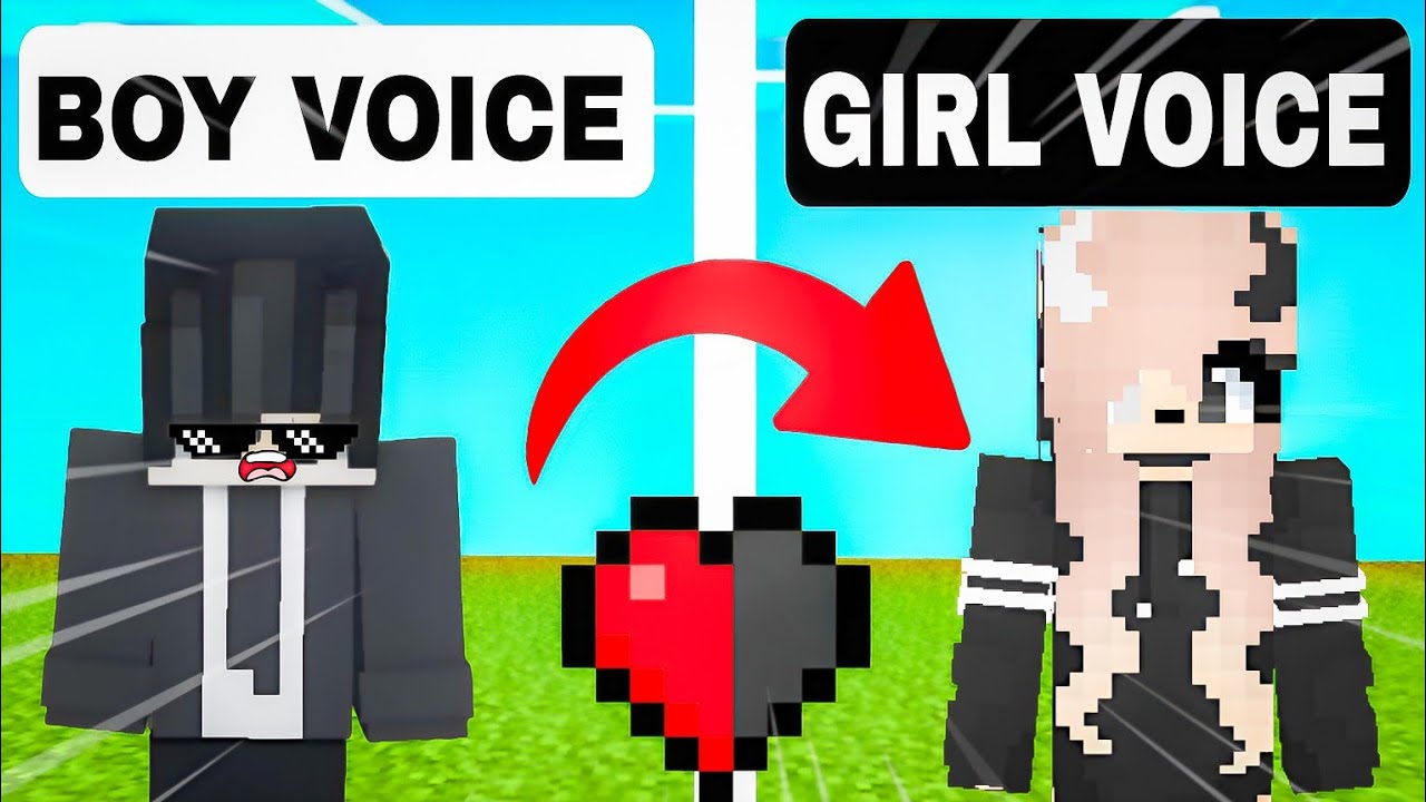 Minecraft But Every Damage CHANGE  MY VOICE ......