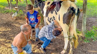 PILILIU BOTA O FILHO PRA MAMAR NO PEITO DA VACA E ELE NÃO GOSTOU 🤣| PILILIU DA RESENHA