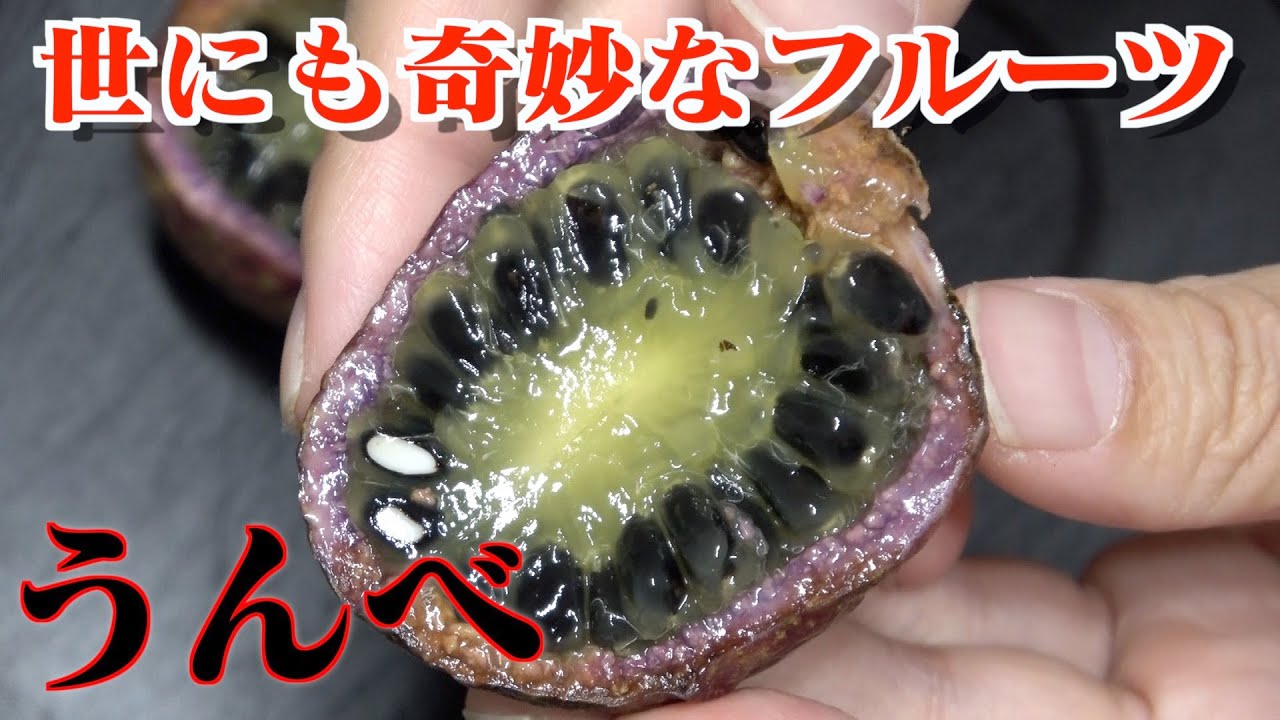 謎の果物うんべ 中身はこんなだけど甘くて美味しい Youtube