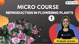 Micro Course: Reproduction in Flowering Plants | Bio | Unacademy Class 11 & 12 | Prakshi