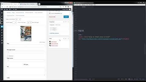 3D FlipBook WordPress Plugin - Embedding Audio