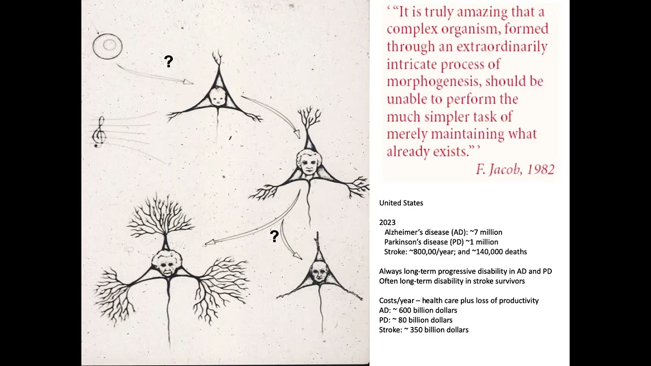 Neurobiology of Aging Lecture Series: #1 – Theories, Comparative Biology, and Animal Models of Aging