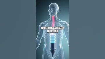 Matter that Responds: The Programmable Metamaterial Revolution