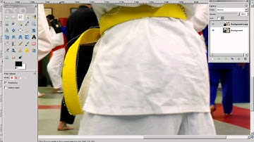 GIMP Tutorial- Spot Coloring