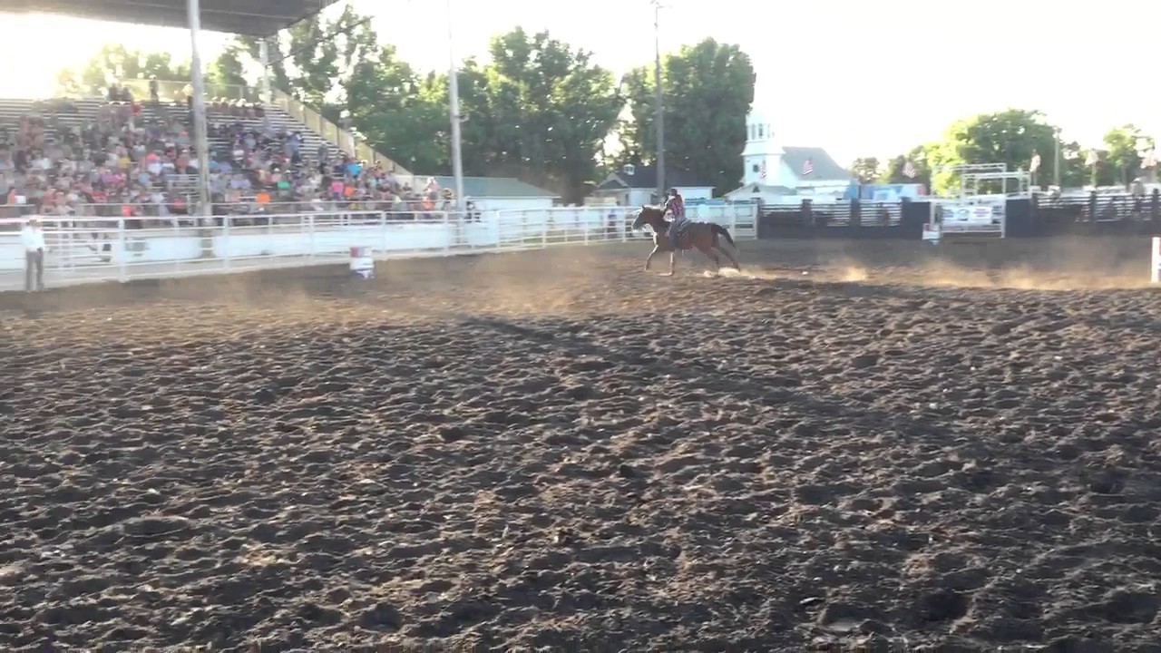 Teegan Wyffels and Streakin Twinkie Fertile Rodeo YouTube