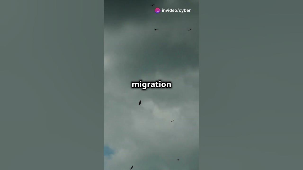 Why do birds migrate thousands of miles every year trending facts 