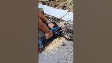 Máy Cưa Xích Boshun 12inch - Đường Kính Cắt Tối Đa 35 40cm -  Không Chổi Than - Có Bình Tra Dầu