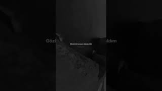 Dudağın Şarap Gibi