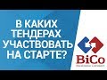 2. Тендеры. В каких тендерах лучше участвовать на старте?