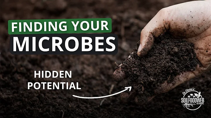 3-Steps to Rapid Soil Regeneration Part 1: Finding the Beneficial Microbes in your Location