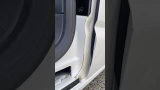 SATISFYING OLD PPF REMOVAL #cardetailing #carcare #satisfying