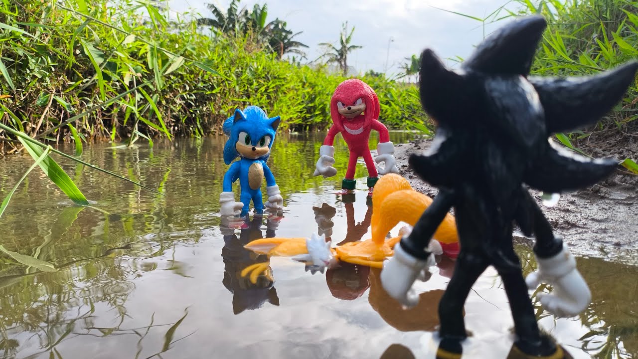 Sonic Hedgehog, Sonic Shadow, Knuckles, Tails, Metal Sonic, Super Sonic, Metal Sonic, Super Shadow