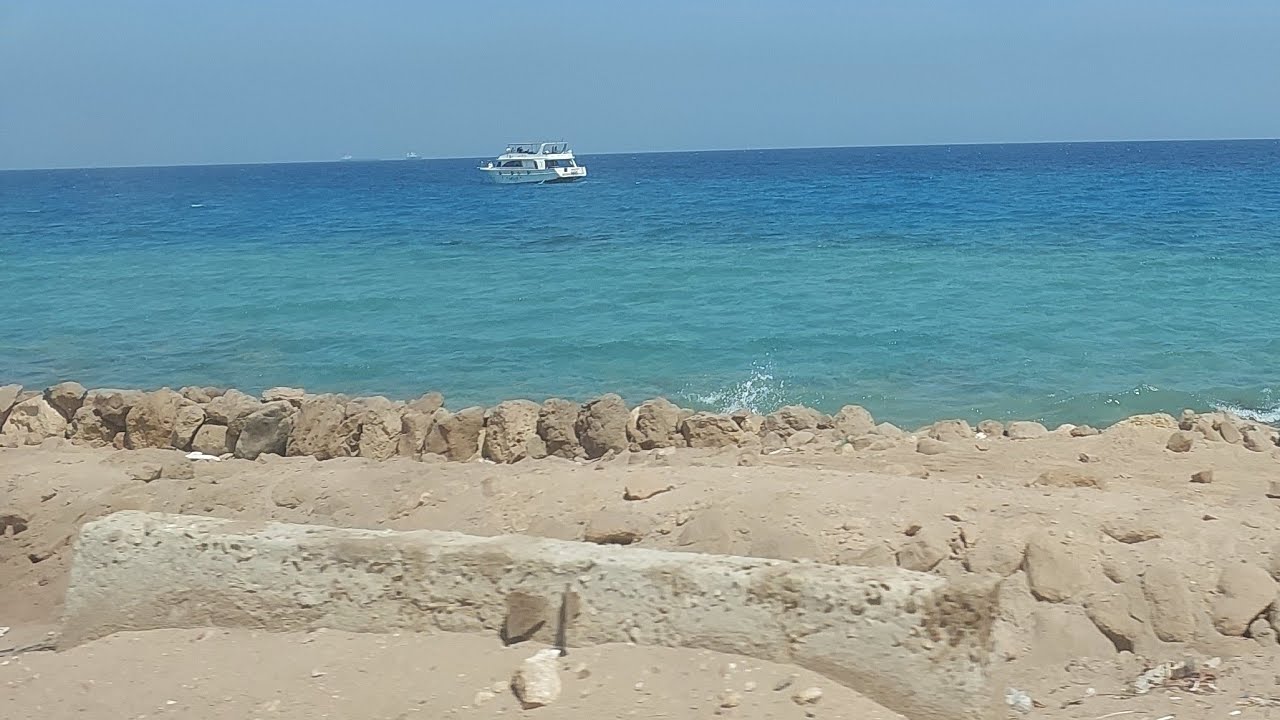 مين بيحبني ال يحب نونوس ينورني🤣😂🥰🥰🥰 - YouTube