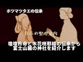 【ホツマツタエ】富士山周辺の伝承から神社を知る