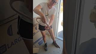 This red racer was keeping cool in the nursery. Not venomous at all great snake to have around.