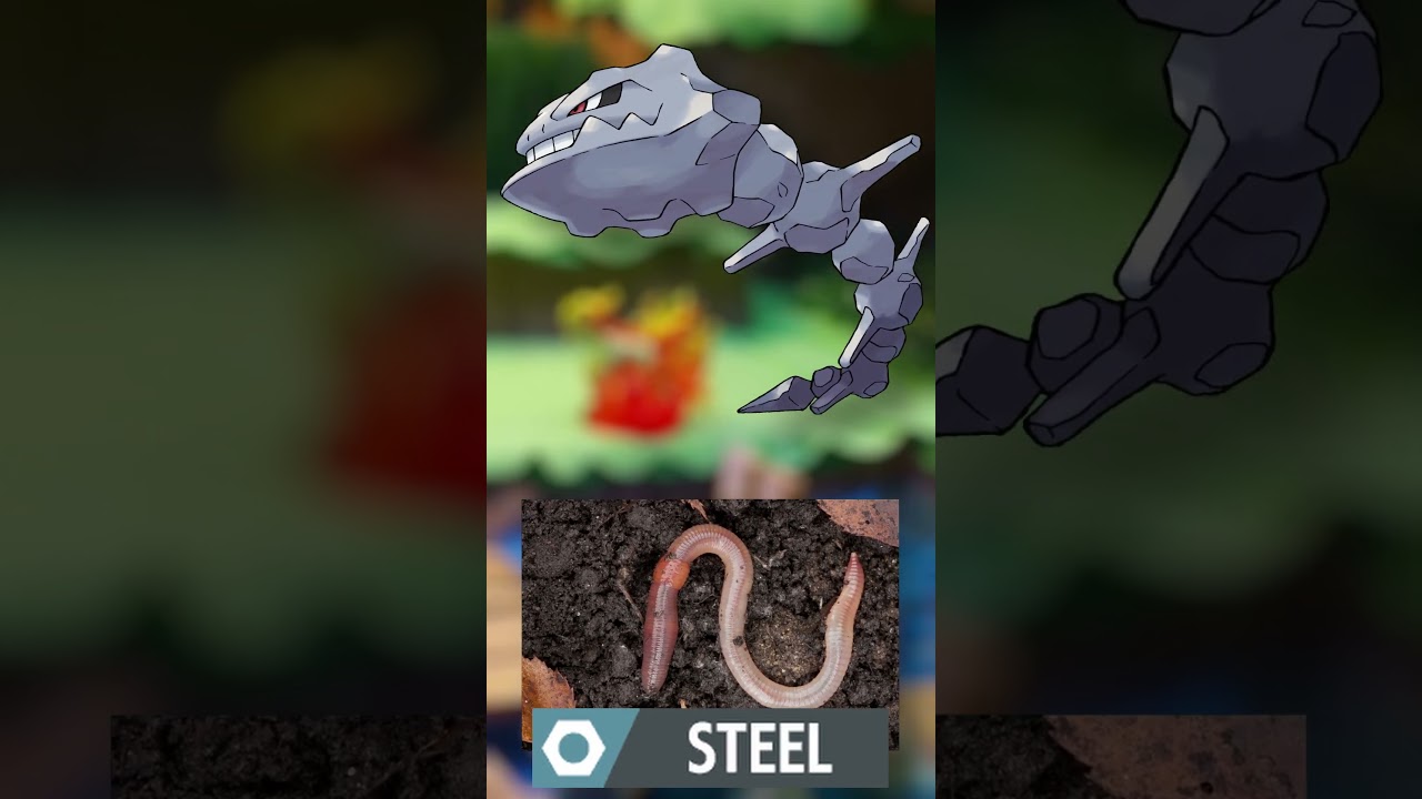 WTF is Steelix?! | EVERY Pokémon Design Explained