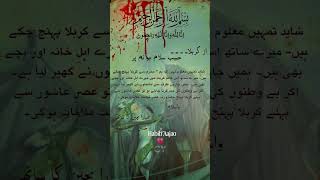 Habib Ibne Mazahir Asw