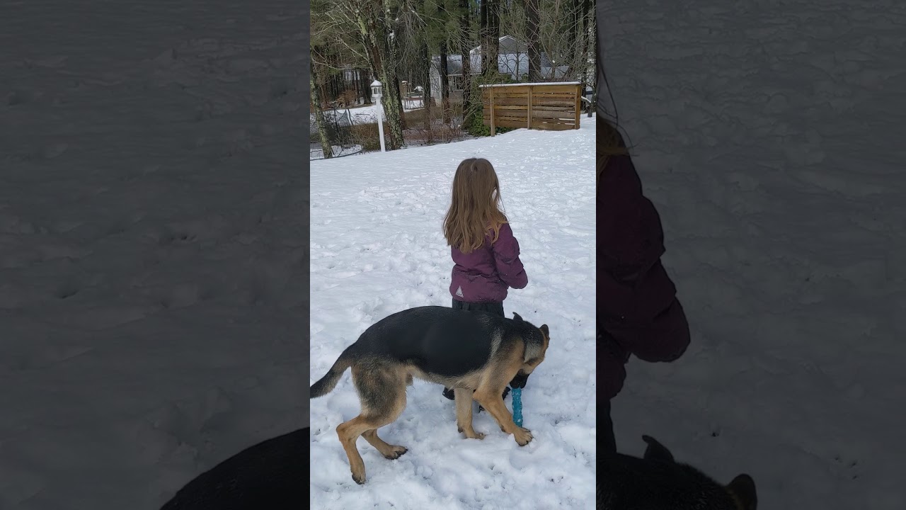 Snow and oso - YouTube