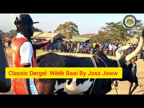 New Classic Hit Dergel Week Baai By Joss Joww Full Official Video