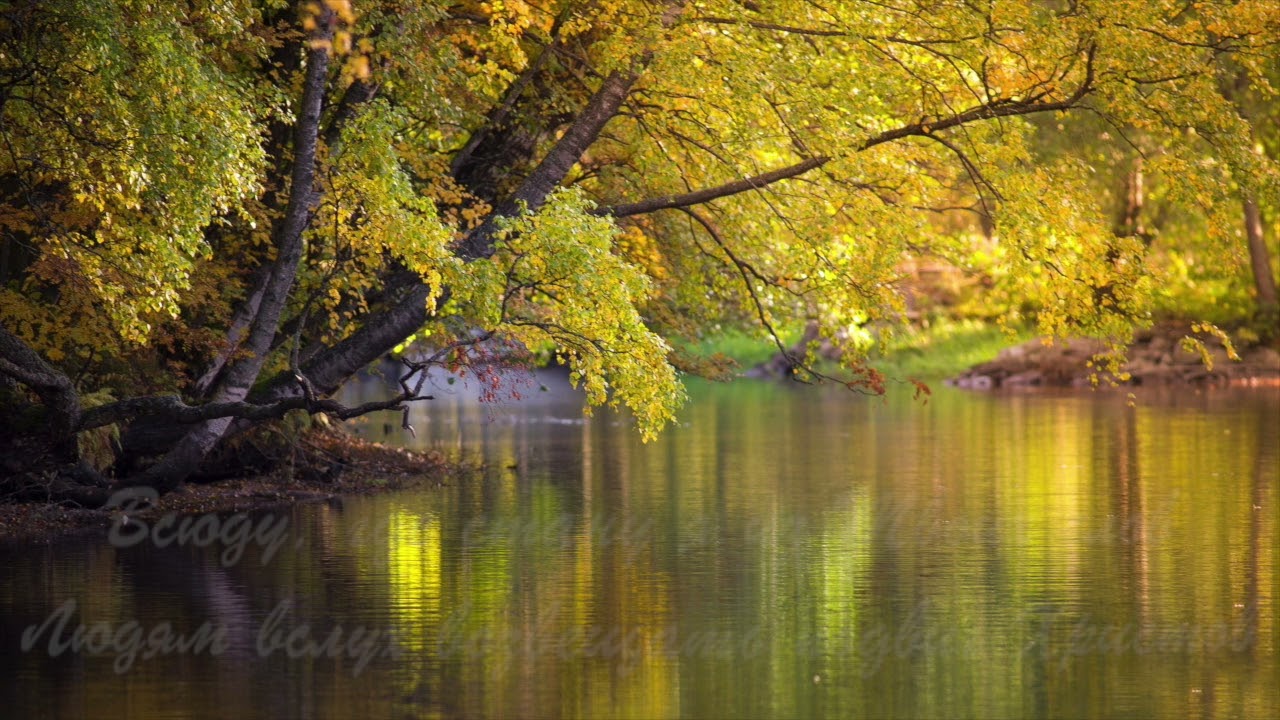 Бог мой храни меня.Песнь Возрождения.Христианские песни.Караоке.