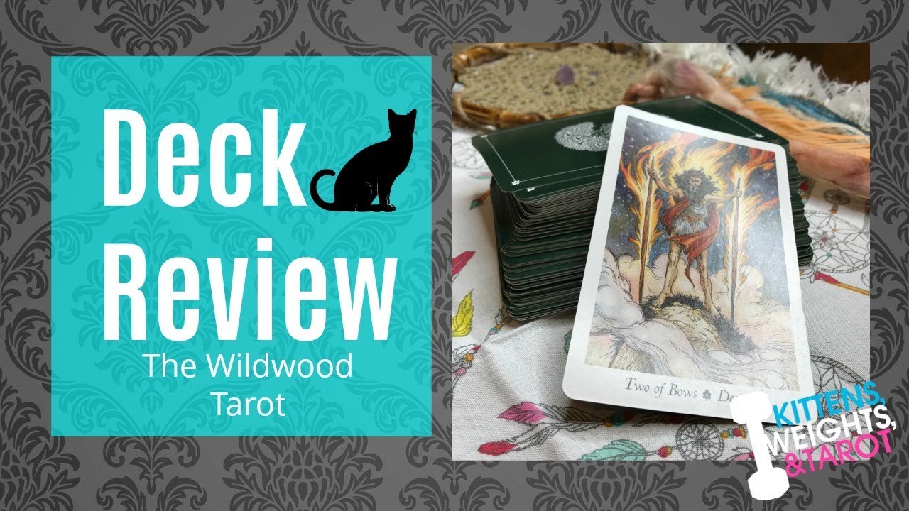 The Wildwood Tarot Review Youtube