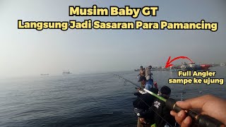 musim baby GT langsung jadi sasaran para pemancing di DAM MERAH MUARA BARU #muarabaru