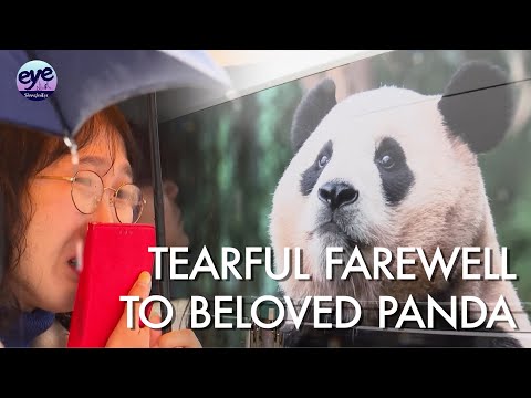 What Does Fu Bao Mean In Chinese