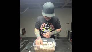 First Ball Python clutch of 2022 egg cutting! Net Worth