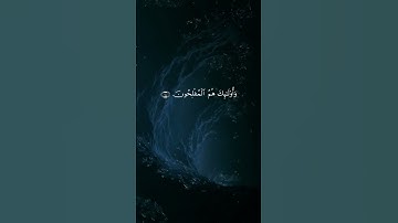 سورة ال عمران #قران_كريم #قرآن #تلاوات #تلاوة #تلاوة_خاشعة #سورة #ياسر_الدوسري