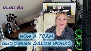 How a Team Grooming Salon Works - Dog Grooming VLOG - Episode 3 - Gina's Grooming