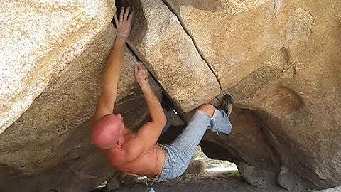 Joshua Tree - Pigpen