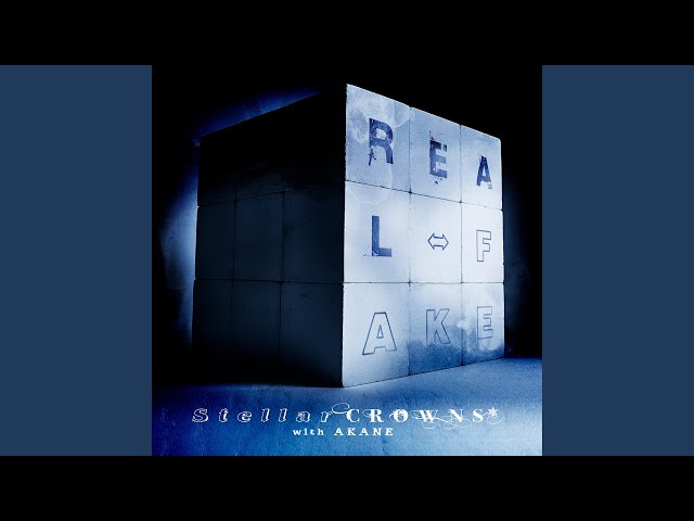REAL⇔FAKE - YouTube