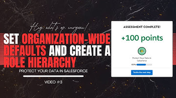 Set Defaults and Create Role Hierarchy SalesforceTrailhead Complete Guide| Protect Your Data Project