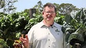 Introduction To H2grOw