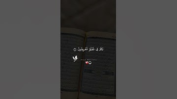 قرآن كريم راحة نفسية #المغرب #اكسبلور #المصحف #الاردن #لايك #العظماء #التصوير #الرحمن #الجزائر