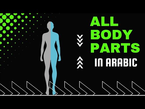 Learn Arabic pronunciation for beginners | Body parts in Arabic - Part 4