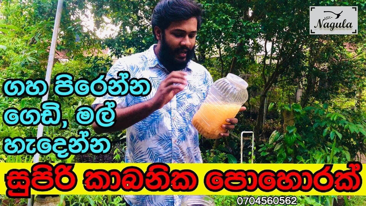 කෙසෙල් ලෙලි පොහොර වර්ග නිවරදිව සකස් කිරීම සහ බාවිතා කරන ආකාරය(How to make Banana peel fertilizer)