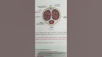 ✍️  shukranu ki sanrachna (चित्र)🙄😏WHAT is Hidden in this Mysterious Box?!#shukranu #trending