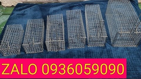 Bán bẫy sóc, Bán lồng bẫy sóc, bán bẫy chuột cống nhum, bán bẫy bìm bịp,bán bẫy chồn.Zalo 0936059090