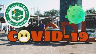 Tour completo del Zoológico Guadalajara 2021