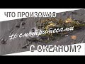 #смотритесами | ЧТО ПРОИЗОШЛО С ОКЕАНОМ НА КАМЧАТКЕ?