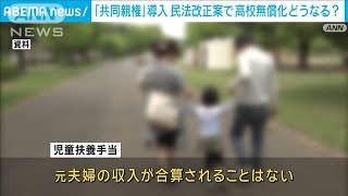 【共同親権】で高校無償化・児童手当は？夫婦もめたら親権は？…国会審議からひも解く(2024年4月12日)