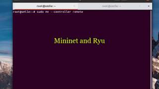 [Eng sub] mininet and Ryu controller | How to connect mininet to a remote controller