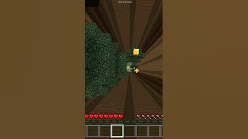 X-Mas Dropper Christmas Tree level 2 in Minecraft