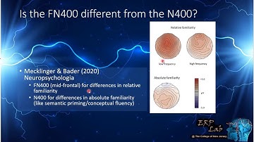 The FN400 ERP (recognition and event related potentials)